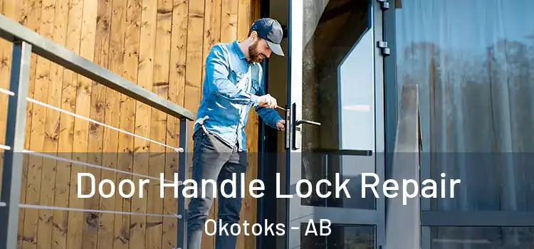 Door Handle Lock Repair Okotoks - AB