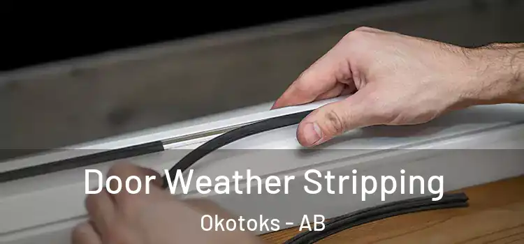 Door Weather Stripping Okotoks - AB
