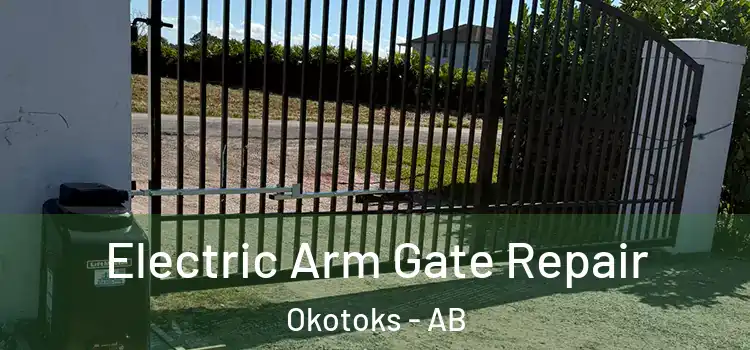 Electric Arm Gate Repair Okotoks - AB
