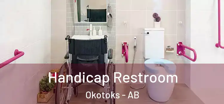 Handicap Restroom Okotoks - AB