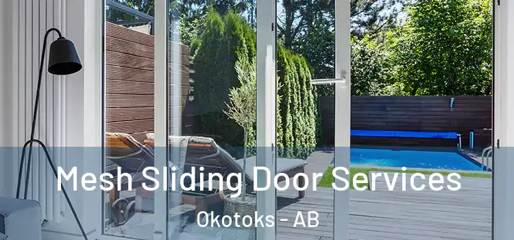 Mesh Sliding Door Services Okotoks - AB