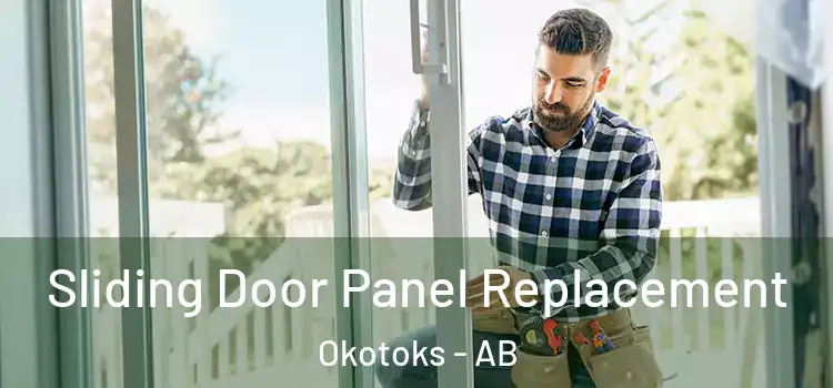  Sliding Door Panel Replacement Okotoks - AB