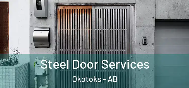 Steel Door Services Okotoks - AB